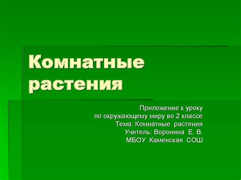 Комнатные растения - презентация онлайн