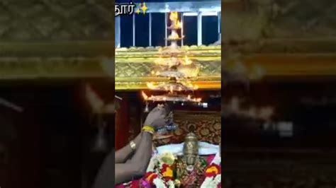 Tiruchendur Murugan Sasti Deepatharanai Youtube