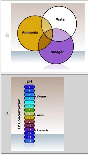 Solved Which Of The Following Best Represents The Relationship Of The