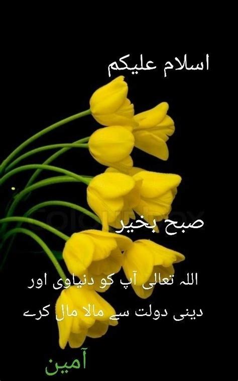 Pin By Shabira Shahtaj On Subah Bakhair In Good Morning Images