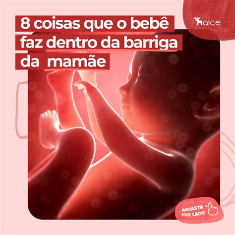 Animais Que Se Desenvolvem Dentro Da Barriga Da Mãe