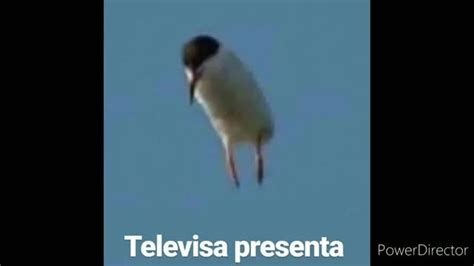 Televisa No Presenta Meme Subido Por PR0555 Memedroid