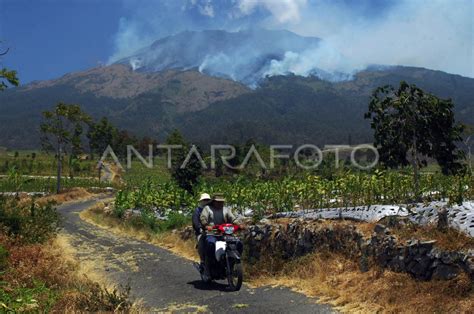 Kebakaran Hutan Gunung Sumbing Antara Foto