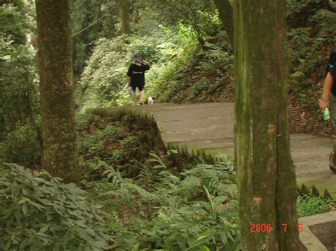 Mt Emei Sacred Buddhis Mountain Emeishanstairs