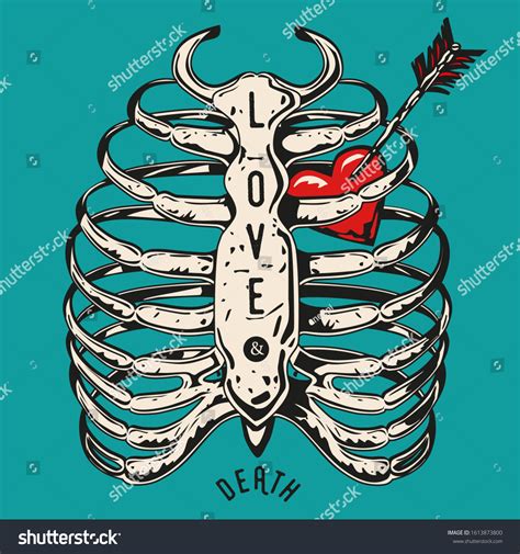 Human Rib Cage With Heart And Arrow Love And Royalty Free Stock