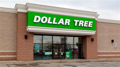 10 Best New Items At Dollar Tree In February 2024