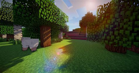 Minecraft Jungle Biome Shaders