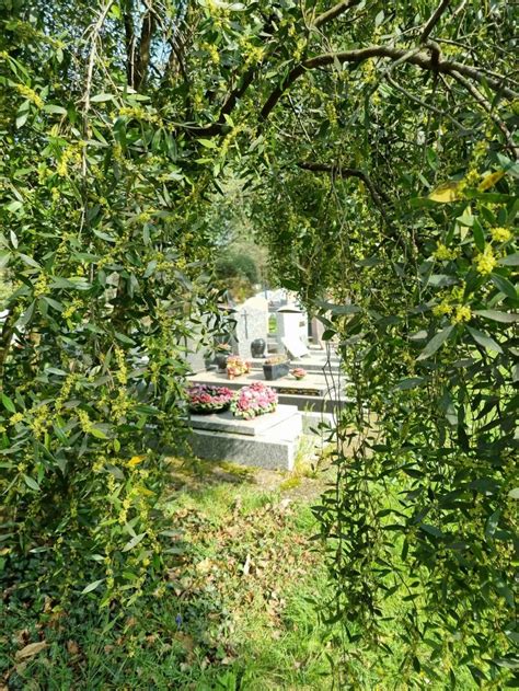 44 Cimetière Parc Nantes