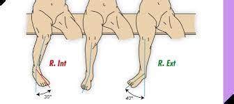 La Rotaci N Axial De La Rodilla Blog De Fisioterapia