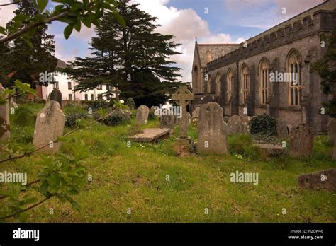 Salix Caprea Pussy Willow In Spring Stock Photo Alamy