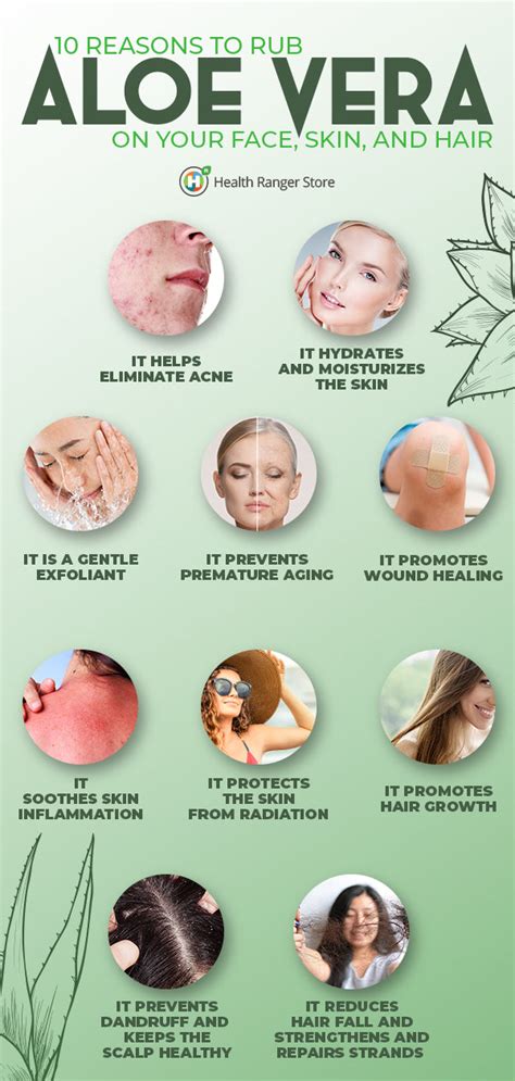 10 Reasons To Rub Aloe Vera On Your Face Skin And Hair Health Ranger Store