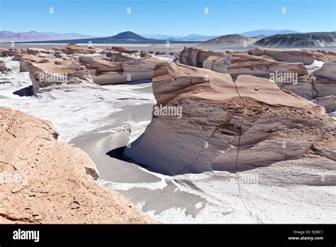 Campo de Piedra Pomez, Puna desert, Argentina Stock Photo - Alamy