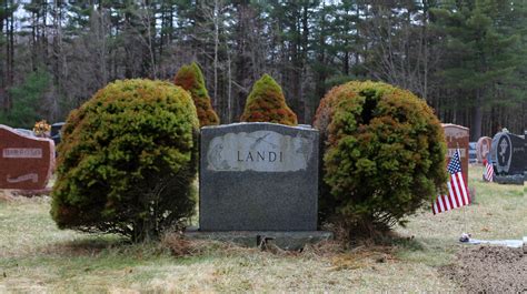 Anthony P Landi 1951 1992 Find A Grave Memorial