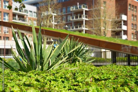 Foto De Sloping Green Roof Green Sedum Roof Rooftop Garden For Urban