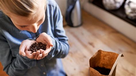 How To Get Lingering Food Smells Out Of Your House Angi