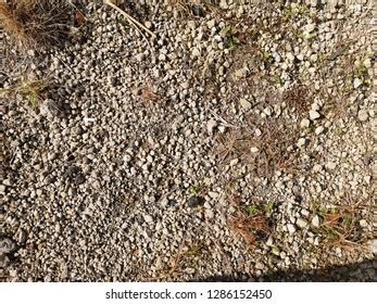 Dirt Floor Texture Background Stock Photo 1286152450 | Shutterstock