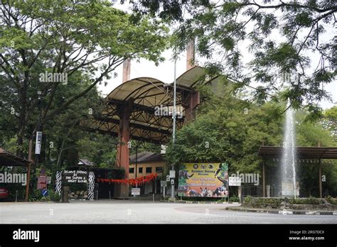 Zoo Taiping Hi Res Stock Photography And Images Alamy