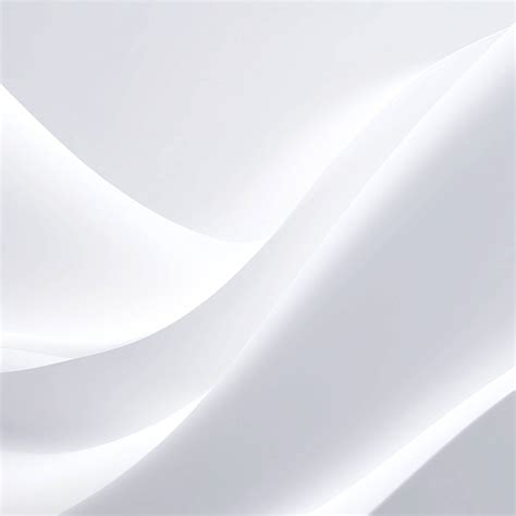 Artists are debating plain white posters in local galleries 9