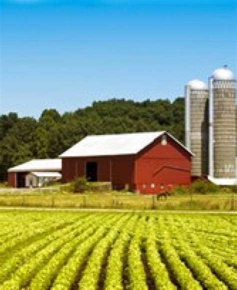 Carroll County Office Of Tourism