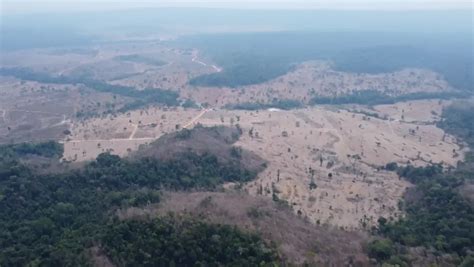 Incêndio no Parque Cristalino II em MT já consumiu mais de 7 mil