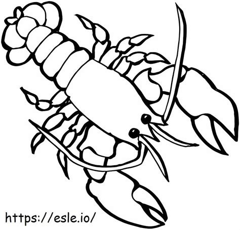 Lobster Drawing Coloring Page
