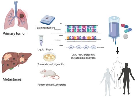 Unlocking The Power Of Personalized Medicine How My Lahey Clinic Chart Is Revolutionizing Healthcare