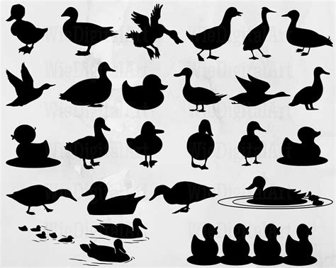 Duck Svg Duck Silhouette Duck Svg Bundle Duck Svg Design Duck Cut File ...