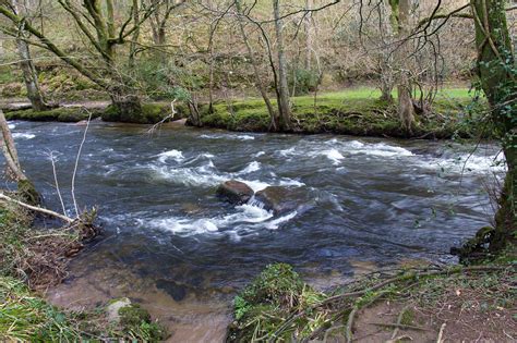 Dunsford Wood Birdingplaces