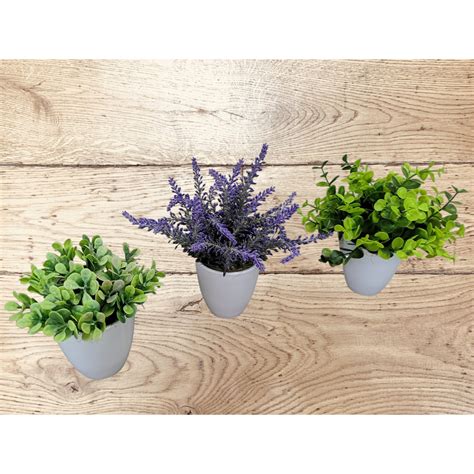 Set De 3 Plante Artificiale In Ghivece Albe Din Ceramica Dady Plante