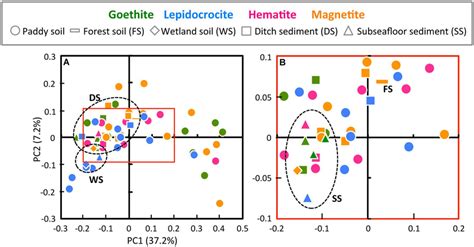 Principal Coordinate Analysis PCoA Plot Of Illumina Sequence Data A