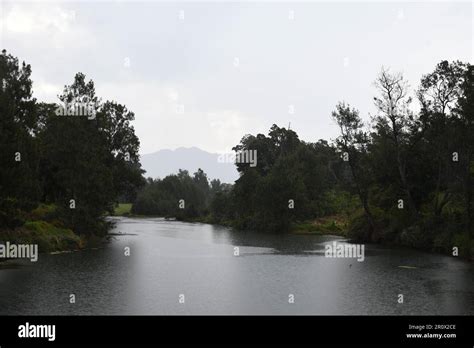 Bellinger River In Rains Shows Its Majestic Beauty On The Way To