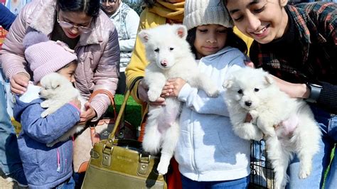 Tata Trusts To Open Indias 1st State Of The Art Small Animal Hospital