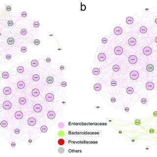 Co Occurrence Networks Co Occurrence Networks Were Calculated Based On