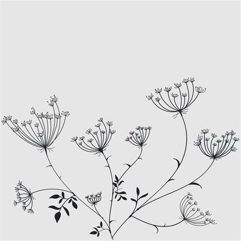 ammi art images stock   objects vectors shutterstock