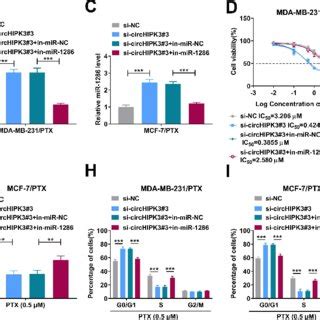 CircHIPK3 Silencing Inhibited The Malignant Cell Behaviors And Enhanced