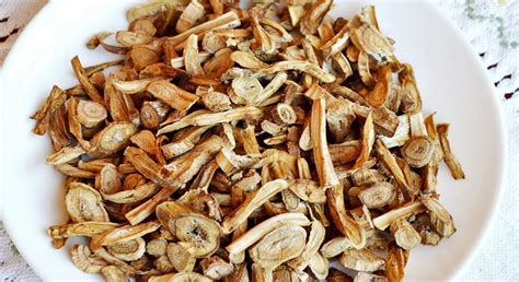 Заготовка корней лопуха: полезные советы и рецепты - полезные статьи о ...