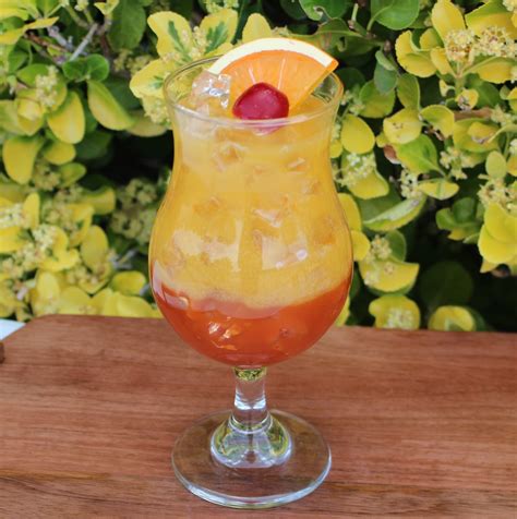 Роза текила санрайз (77 фото)