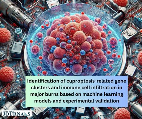 Identification Of Cuproptosis Related Gene Clusters And Immune Cell