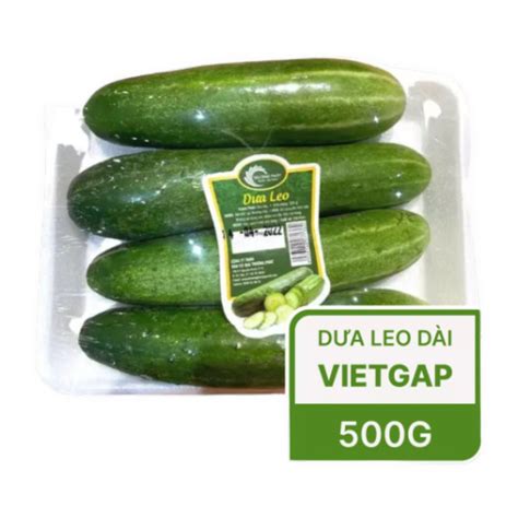 Dưa leo VietGAP vỉ 500g - Chuỗi siêu thị thực phẩm tươi ngon, chất ...