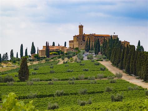 The Best Wineries To Visit In Tuscany Tuscany Wineries Tuscany