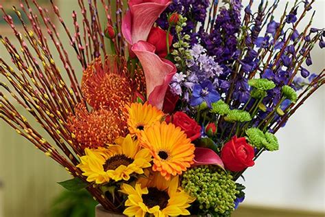 Rainbow Pussy Willow Arrangement J Schwanke S Life In Bloom