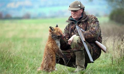 Fresh Calls For Fox Hunting Watchdogs To Monitor Blood Sport Nature