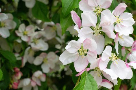 How escanaba daily press escanaba uncovered a local scandal 33