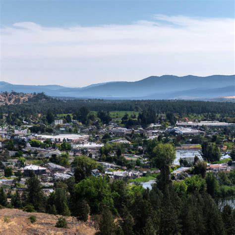 lyons  news crime lost pets  stuff