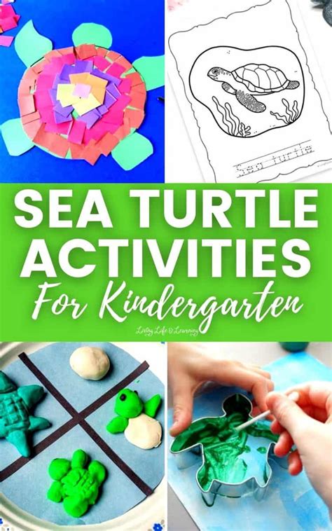 Sea Turtle Activities For Kindergarten