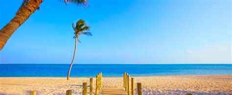 Discover Miami Hilton Worldwide