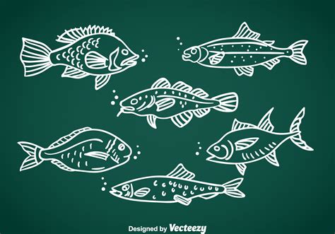 Fish Hand Drawn Vector Vector Art At Vecteezy