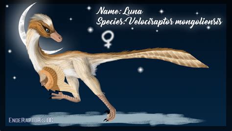 Oc Velociraptor Luna By Enderaptor On Deviantart