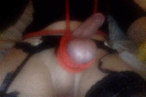 Free Ladyboy Bdsm Shemale Porn Videos Xhamster