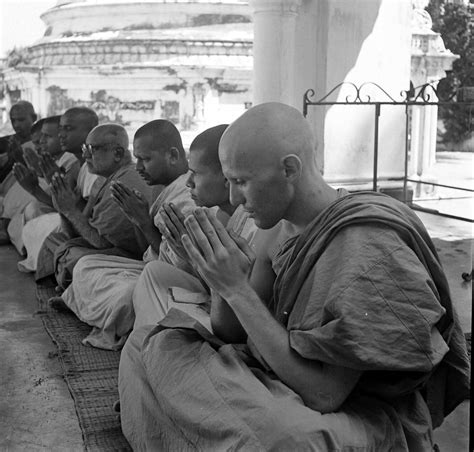 The Bikini Photos Of A Summer Fashion Classic Through The Years